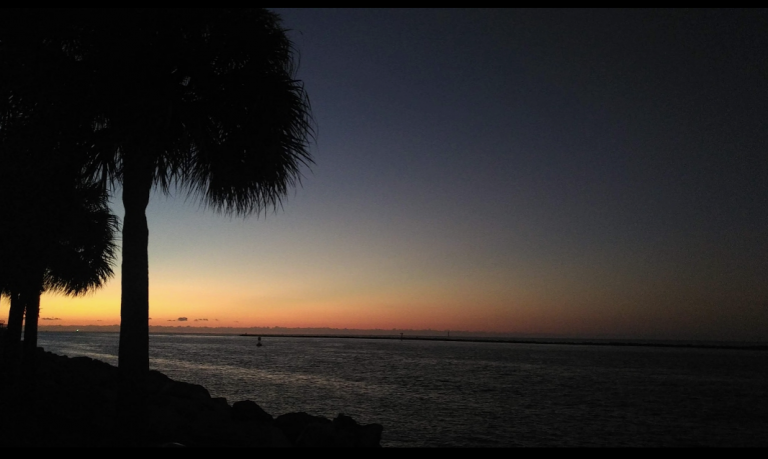 miami sunrise beyond film school