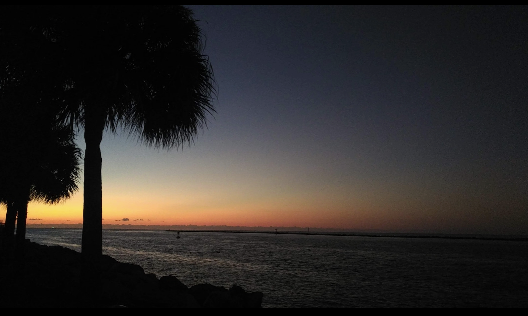 miami sunrise beyond film school