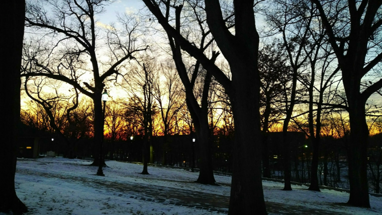 sun set winter beyond film school