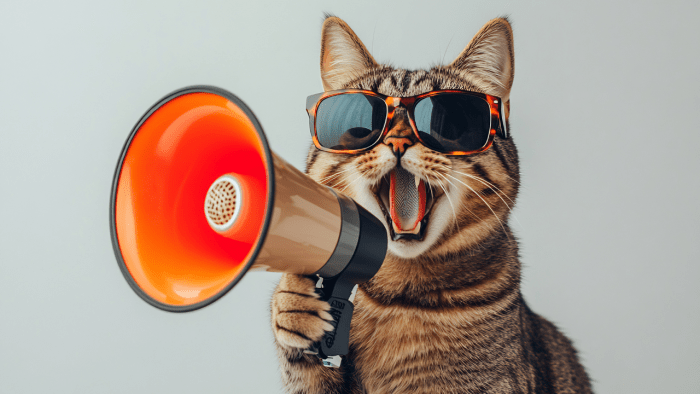 getting on your first film set